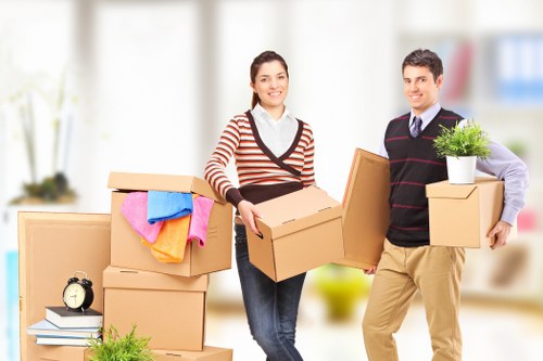 Visual representation of cookie categories on a removals website