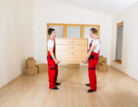 Risk assessment and careful handling during removals